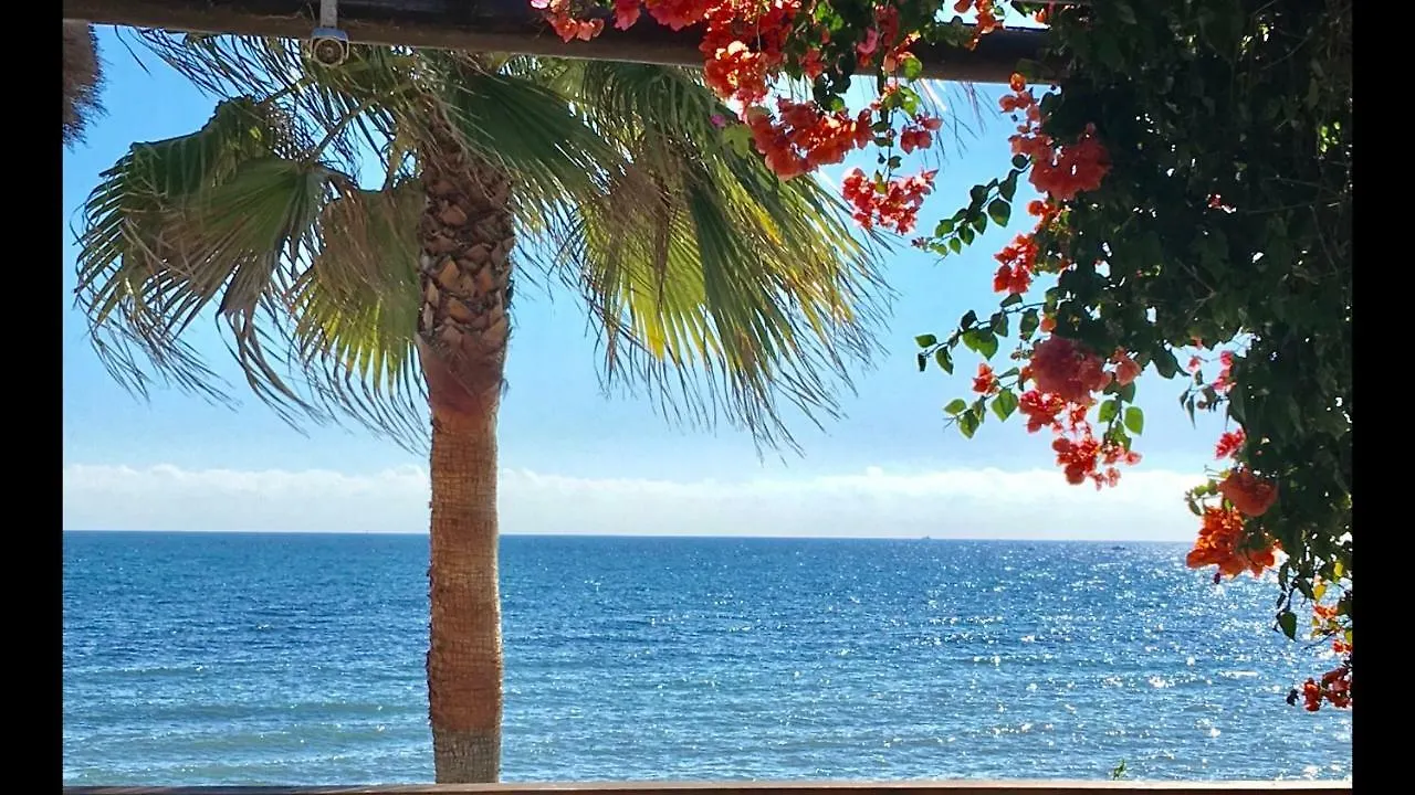 Mi Capricho Beachfront- 9E Apartment With Sea Views - Costa Del Sol Sitio de Calahonda